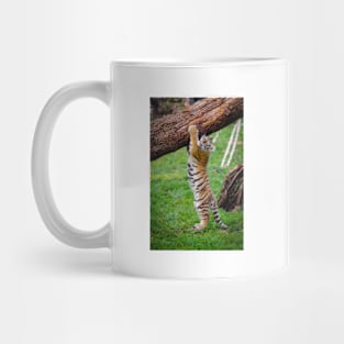 Baby Tiger Hanging on the Tree Mug